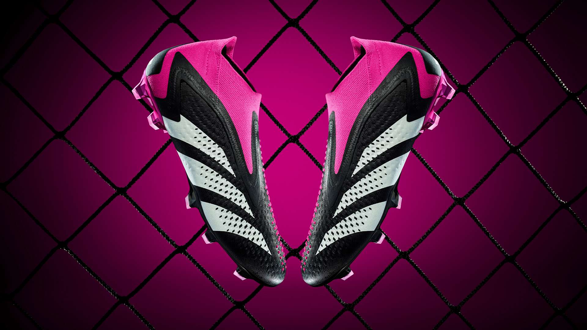 给予教练足 给予教练足